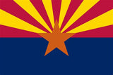 State Lapel Pin