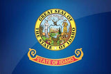 State Lapel Pin