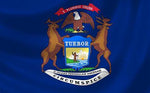 State Lapel Pin
