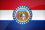 State Lapel Pin