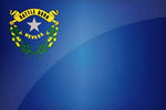 State Lapel Pin